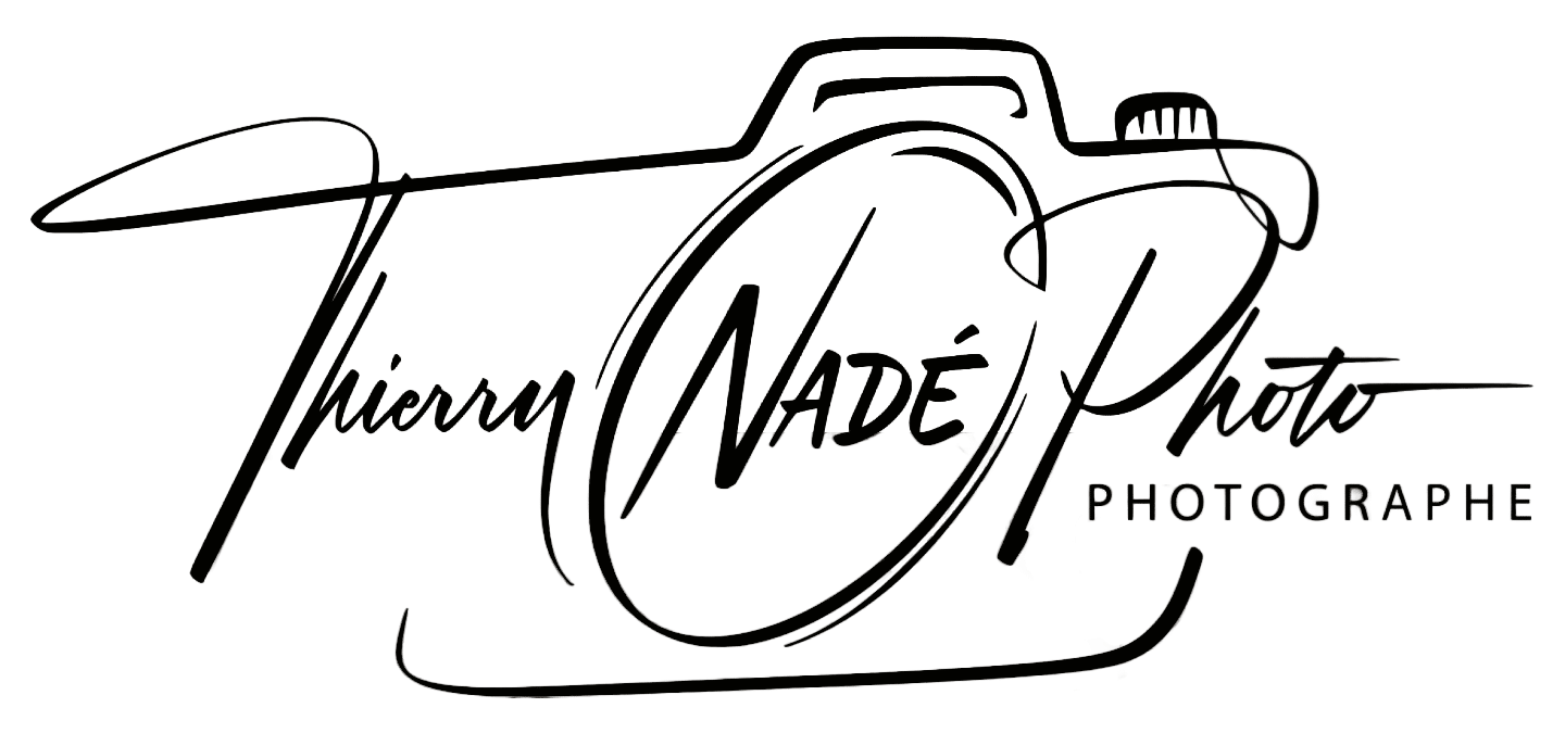 logo signature thierry nadé photo grand modèle